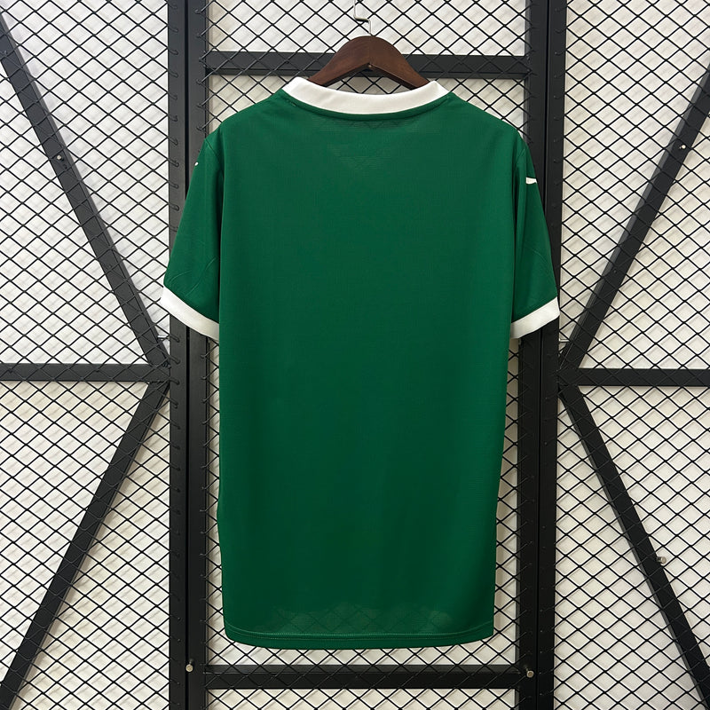 Camisa Do Palmeiras I 25/26